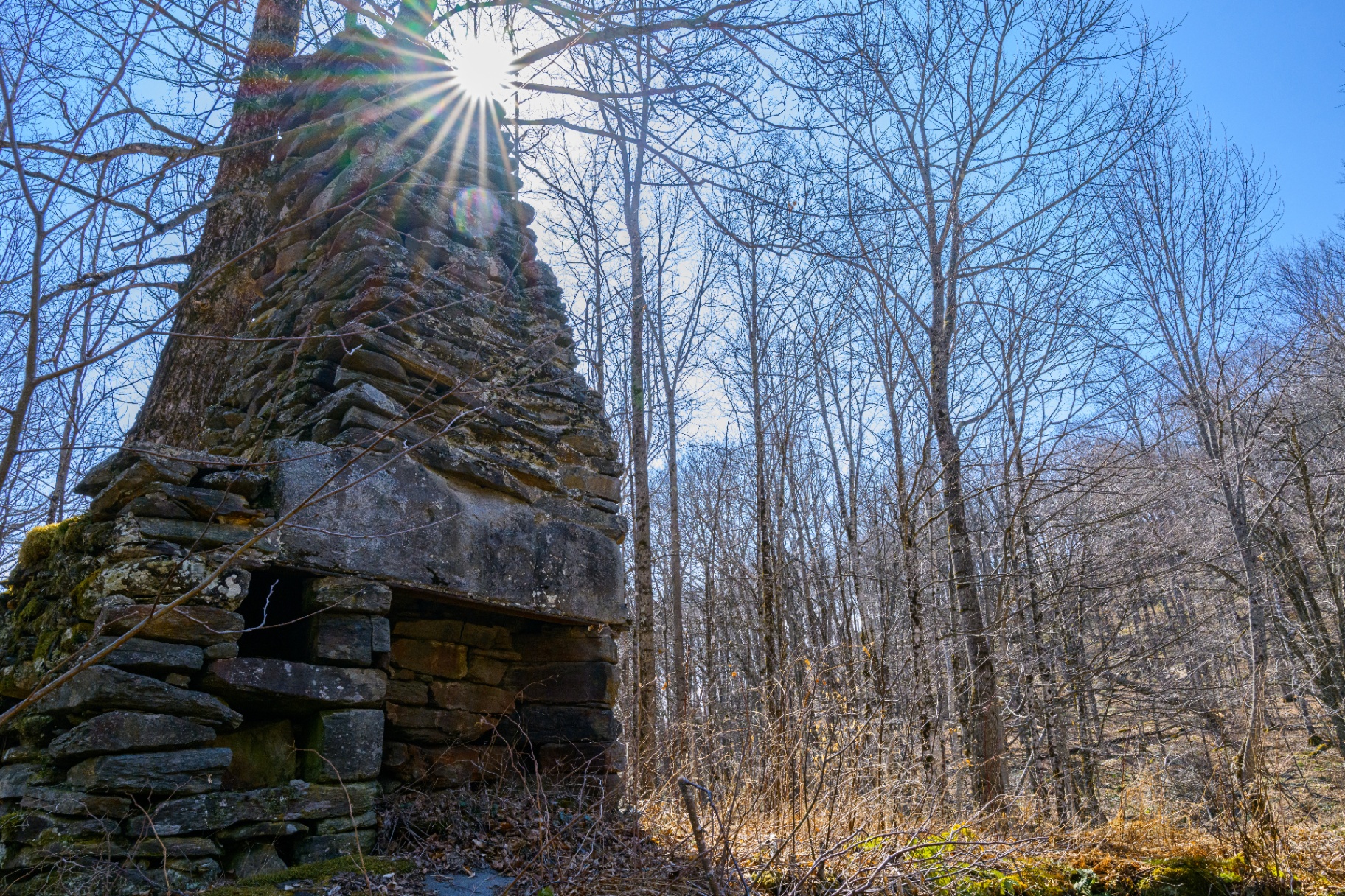The old stone chimney among bare maples in early spring