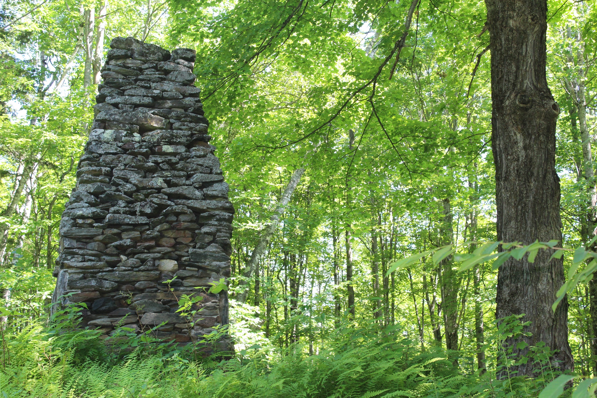 The old stone chimney surrounded by full green summer leaves